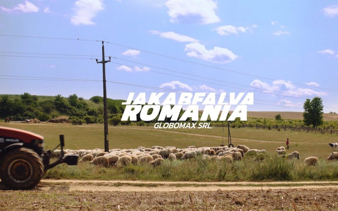 ORADEA | Romania 4k #4